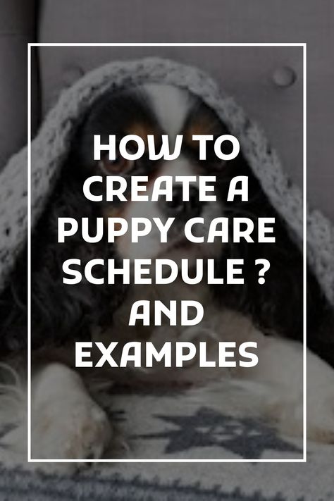 The basics for making a puppy care schedule Puppy Schedule 8 Week Old, Puppy Schedule, Daily Routine Schedule, Puppy Kennel, Day Schedule, Puppy Care, Training Day, Dog Obedience, A Puppy