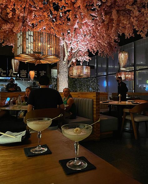 Cherry Blossom Restaurant, Night Mode, Take A Seat, Restaurant Interior, Cherry Blossom, Take A, Blossom, Cherry, Restaurant