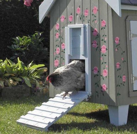 Backyard Coop, Cute Chicken Coops, Best Chicken Coop, Chicken Garden, Keeping Chickens, Building A Chicken Coop, Chicken Coop Plans, Backyard Chicken Coops, Hen House