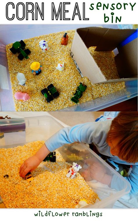 Old MacDonald Had a Farm Sensory Bin {with corn meal} from Wildflower Ramblings Farm Animal Art Preschool, Preschool Sensory Bins, Farm Sensory, Farm Sensory Bin, Farm Animal Art, Farm Animals Activities, Old Macdonald Had A Farm, Farm Theme Preschool, Preschool Sensory