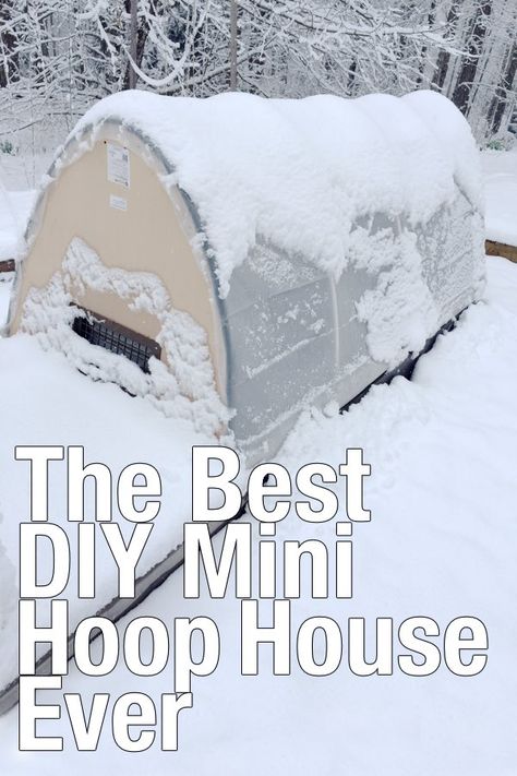 Retractable Hoop House, Diy Hoop House Raised Beds, Raised Bed Hoop House, Winter Hoop House Gardening, Pvc Hoop House Diy, Pvc Hoop House, Mini Hoop House, Hoop Houses Greenhouse, Garden Hoops Raised Beds Diy