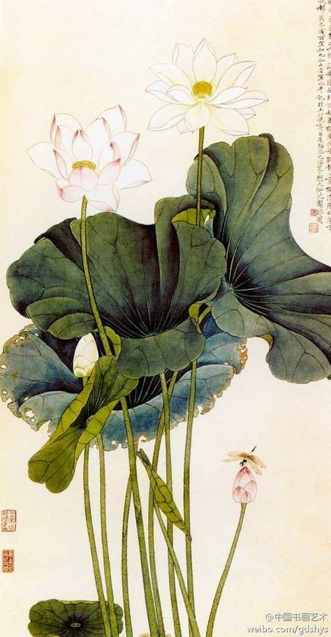 Lotus Painting, Lotus Art, Asian Painting, 2 Wallpaper, Eastern Art, Ios 16, Art Japonais, Japanese Painting, Botanical Drawings