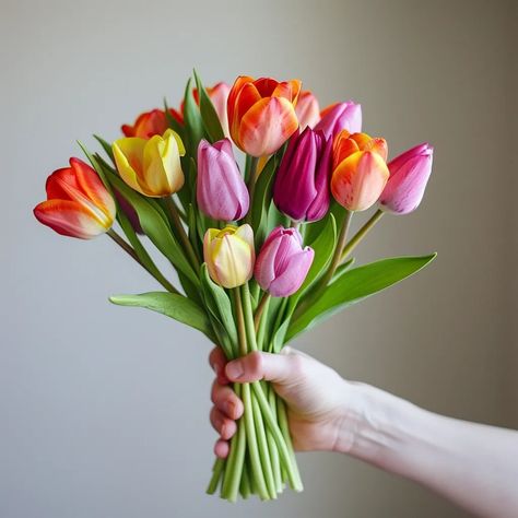 This image shows a hand holding a bouquet of tulips. The tulips are of various colors, including pink, red, yellow, and purple ->> more details in ai-img-gen.com Bouquet Of Tulips, Holding A Bouquet, Tulip Bouquet, Yellow And Purple, Yellow Tulips, Green Ribbon, Hand Holding, Wedding Dreams, Pink Peonies