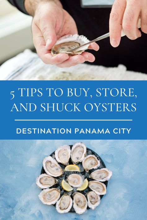 5 Tips to Buy, Store, and Shuck Oysters Like a Pro. Here's everything you need to know about shucking oysters and where to find them in Panama City, Florida. #seafood #oysters #cookingtips Oysters Party, Mexican Oysters, How To Grill Oysters, How To Shuck An Oyster, Cooking Oysters In Shell, Oysters At Home, How To Shuck Oysters At Home, Finding Pearls In Oysters Video, Bbq Oysters