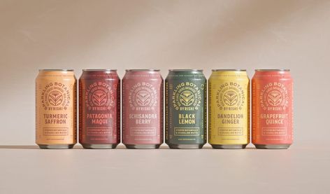 Sparkling Tea Packaging, Sparkling Botanicals, Rishi Tea, Functional Beverage, Water Branding, Tea Packaging, Beverage Packaging, Sparkling Water, Creative Packaging