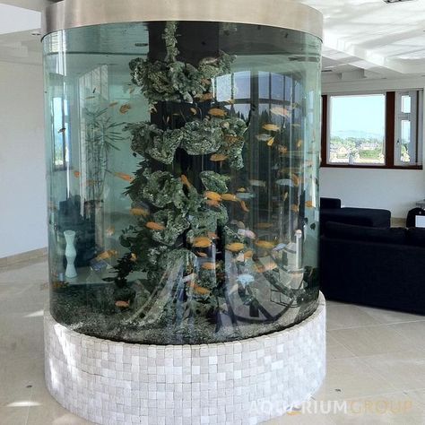 Wall Aquarium Design, Round Fish Tank, Dream Aquarium, Large Fish Tanks, Indoor Aquaponics, Fancy Fish, Custom Aquarium, Public Aquarium, Wall Aquarium