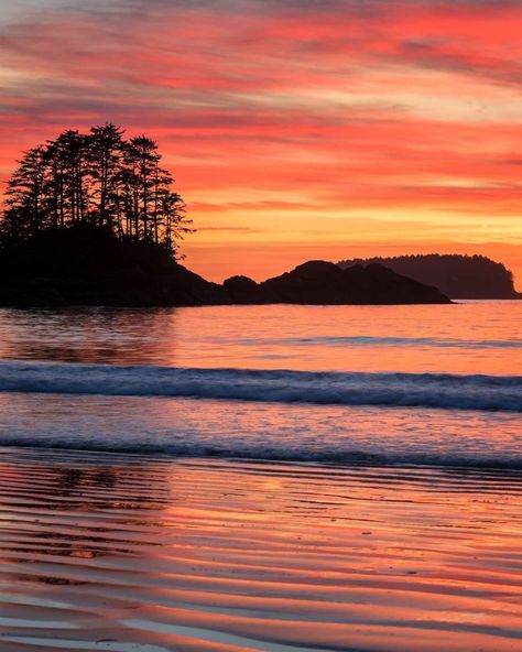 *🇨🇦 A Pacific coast sunset (Tofino, BC) by Mark Jinks (@markjinksphoto) on Instagram 🌅 Tofino British Columbia, Top Places To Travel, British Columbia Canada, Alberta Canada, Pacific Coast, Travel Pictures, British Columbia, Looking Back, Places To Travel