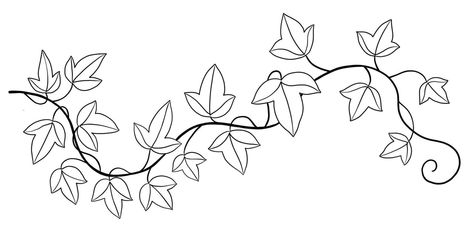 Ivy Drawing Simple, Ivy Svg, Ivy Tattoo Design, Witchy Sleeve, Tattoo Leaf, Tree Frog Tattoos, Vine Drawing, Becoming A Tattoo Artist, Americana Crafts