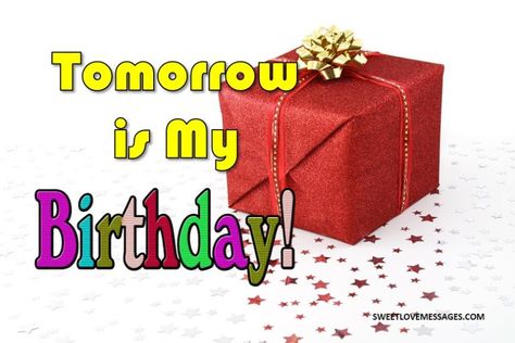 Tomorrow Is My Birthday Quotes, Me Dp, My Birthday Status, My Birthday Tomorrow, Tomorrow Is My Birthday, Life Is Fun, Birthday Status, Birthday Quotes For Me, Birthday Roses