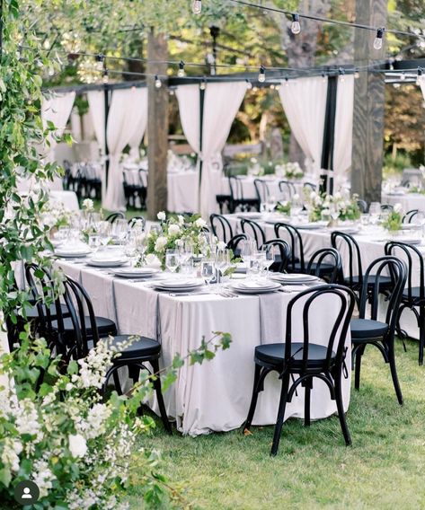 Black Chair Wedding, La Tavola Linen, Religious Wedding, Classic Brides, Bentwood Chairs, Black Chair, Wedding San Francisco, Green Rooms, Wedding Chairs