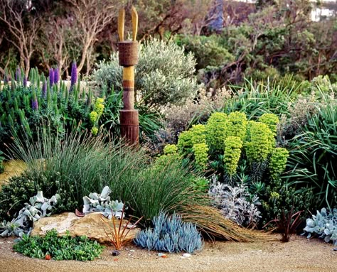 Native Garden Design, Native Australian Garden, Australian Garden Design, Coastal Environment, Coastal Landscaping, Australian Native Garden, Front Garden Ideas, Native Gardens, Coastal Garden