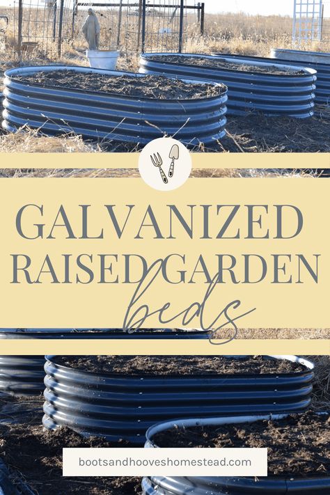 Galvanised Raised Garden Beds, Galvanized Raised Bed Garden, Raised Bed Garden Ideas Galvanized Metal, Galvanized Garden Beds Layout, Galvanized Steel Raised Garden Beds, Galvanized Garden Beds, Galvanized Raised Garden Beds, Raised Bed Layout, Build A Raised Garden Bed