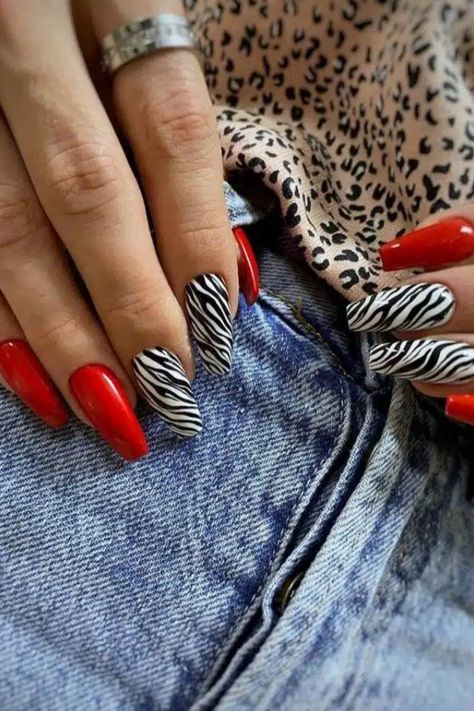 Accent nails, especially the fun animal prints, are making a big comeback this year. And among all those prints, zebra patterns are… Diy Valentine's Nails, Zebra Nail Designs, Matte Nails Glitter, Zebra Nail Art, Zebra Print Nails, Pink Nail Colors, Zebra Nails, Romantic Nails, Professional Manicure