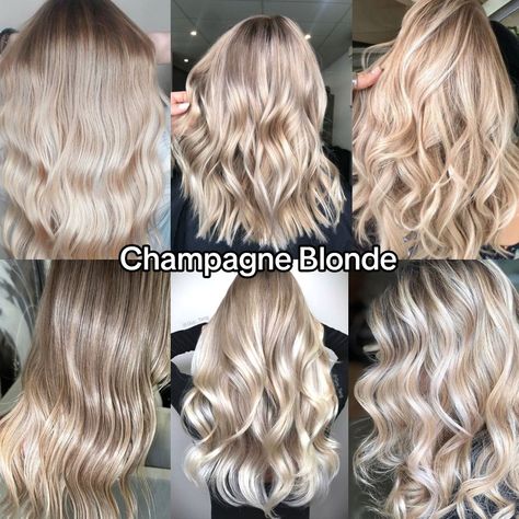 Champagne Blonde Hair Color, Champagne Blonde Hair, Hair And Skin Vitamins, Blonde Hair With Roots, Summer Blonde Hair, Highlights Blonde, Hair With Highlights, Champagne Blonde, Hair Color Chart