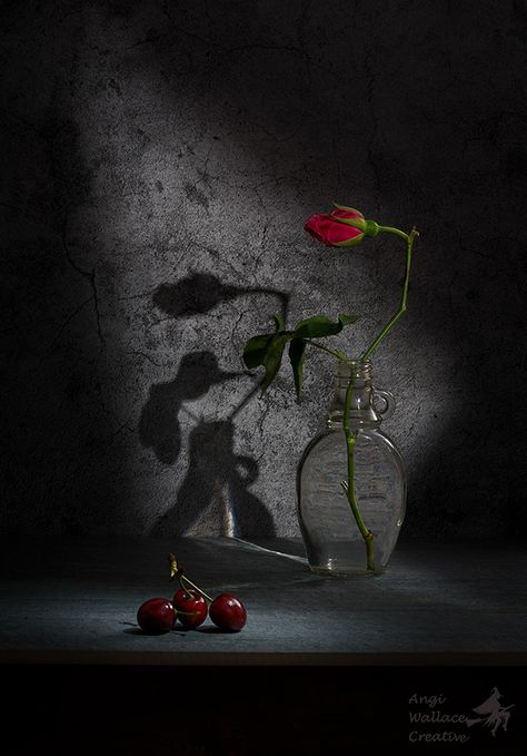 Angi Wallace - Still life & Food Creepy Still Life Photography, Dark Still Life Painting, Spooky Still Life, Still Life Pictures Photographs, Creepy Still Life, Still Life Photography Creative Ideas, Gothic Still Life, Vintage Still Life Photography, Halloween Still Life