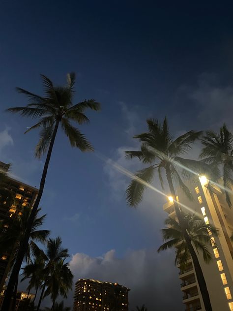 Palm trees at nught in waikiki oahu hawaii with city background aesthetic island life insta pic inspo Hawaii Night, Oahu Nightlife, Hawaii At Night, Hawai’i Aesthetic, Hawaii At Night Aesthetic, City Background, Oahu Hawaii, City Aesthetic, Island Life