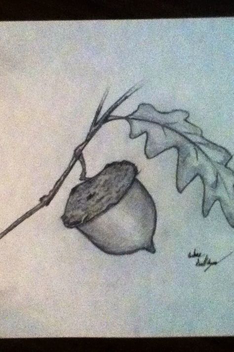 An acorn.  One of my finer sketches I think. Took me forever just to get the cap down. This was drawn as a gift. For my little acorn.  :) Acorn Sketch, Basic Sketching, Tree Drawing, Art Ideas, Nuts, Fantasy Art, Sketch, Drawings, Art