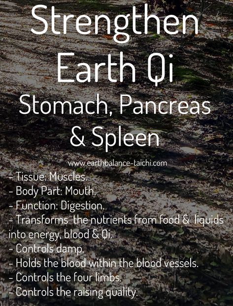 Spleen Pain, Qi Deficiency, Japanese Medicine, Tcm Traditional Chinese Medicine, Polarity Therapy, Being Grounded, Healthy Healing, Qigong Exercises, Energy Yoga