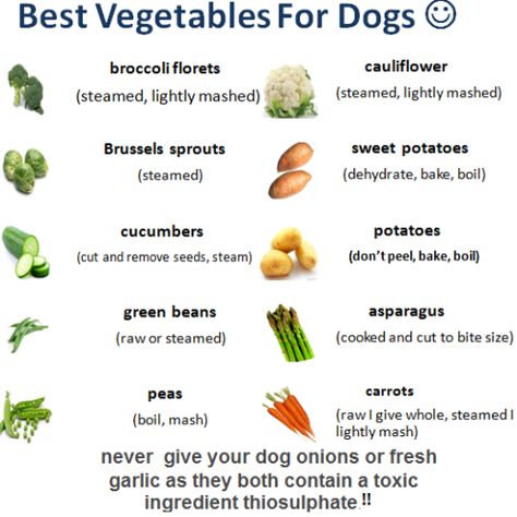 Veg for Dogs Veggies For Dogs, Dog Vegetables, Vegan Dog Food, Foods Dogs Can Eat, Best Vegetables, Make Dog Food, Dog Remedies, Vegan Dog, Raw Dog Food Recipes