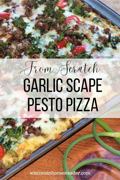 Garlic Scape Pesto Pizza - Wisconsin Homesteader Fresh Garlic Recipes, Food For Hosting, Outside Pizza Oven, Scape Pesto Recipe, Scape Recipes, Sausage Pizza Recipe, Scape Pesto, Pesto Pizza Recipe, Garlic Scape Pesto