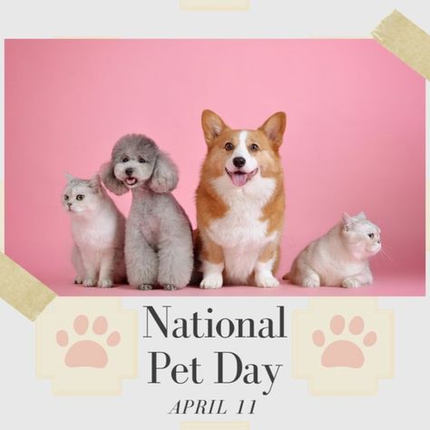 Here are engagement posts of your social media groups. National Celebration Days, National Love Your Pet Day, Love Your Pet Day, National Pet Day, Old Farmers Almanac, Engagement Posts, Celebration Day, Love Your Pet, Pet Day