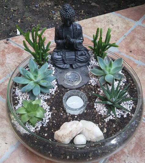 Vida y belleza para regalarsuculentas jardineria plantas terrario fairygarden zen souvenir regalosori... Goodvibes Only, Buddha Garden Ideas, Indoor Zen Garden, Succulent Photography, Miniature Zen Garden, Diy Succulent Terrarium, Deco Zen, Mini Zen Garden, Buddha Garden