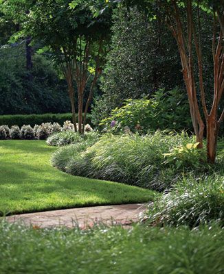 Brick Walkways, Crepe Myrtles, Landscaping Around House, Walkway Landscaping, Brick Path, Brick Walkway, Landscape Edging, Chevy Chase, Design Landscape