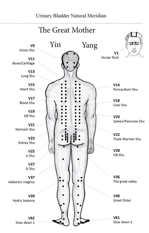 Urinary Bladder N. Meridian - ECAN International school of acupuncture - Learn Acupuncture in India. Next Course November 2016 Punkty Spustowe, Meridian Acupuncture, Traditional Chinese Medicine Acupuncture, Acupuncture Points Chart, Tcm Traditional Chinese Medicine, Acupressure Therapy, Massage Therapy Techniques, Reflexology Chart, Great Mother