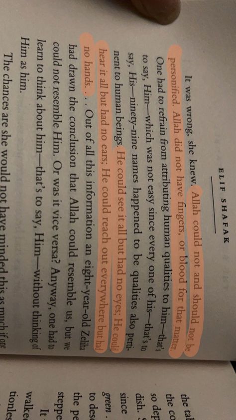 from my favourite book: the bastard of istanbul by author elif shafak ❤️ Elif Shafak Books, Elif Shafak, My Favourite, Favorite Books, Istanbul, Books, Quick Saves