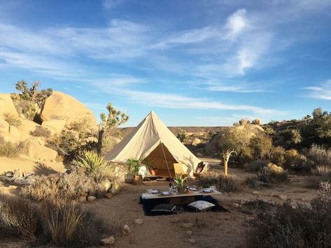 La Quinta Resort & Club Special Offers | Joshua Tree Experience Go Glamping, Luxury Tents, Luxury Camping, Beach Camping, Yoga Retreat, Joshua Tree, Luxury Travel, Glamping, Outdoor Bed