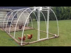 (293) How to make a PVC chicken fence - YouTube Chicken Run Ideas Diy Simple, Dome Chicken Run, Pvc Chicken Tractor, Pvc Chicken Run, Hoop House Chickens, Clean Chicken Coop, Yard Chickens, Chicken Coop Designs Diy, Chicken Coop Ideas