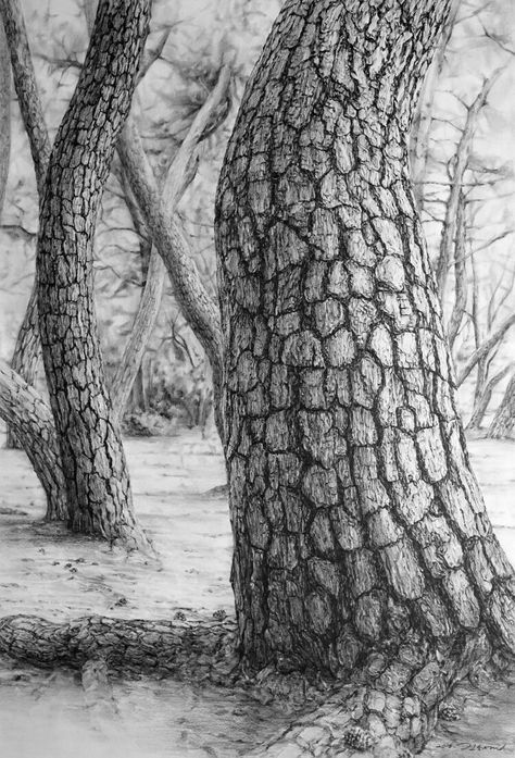 Pin by Mick on درخت | Landscape pencil drawings, Tree drawings pencil, Landscape drawings Tree Drawings, To Paint, Landscape Pencil Drawings, Pine Bark, Tree Drawings Pencil, Tree Textures, Texture Drawing, Tree Sketches, Pen Art Drawings