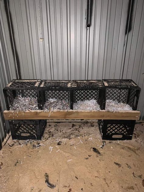 Primitive Chicken Coop, Chicken Boxes Nesting Diy Projects, Hen Boxes Ideas, Chicken Scraps Bucket, Milk Crate Chicken Nesting Boxes, Chicken Coop Nesting Boxes Diy, Chicken Feeding Ideas, Hen Nesting Boxes Diy, Chicken Nesting Box Ideas Diy