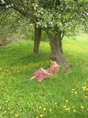 Reading outside under the apple tree Sitting Under A Tree, 숲 사진, Under A Tree, Animale Rare, Peaceful Places, Woman Reading, The Meadows, Book Nooks, The Grass