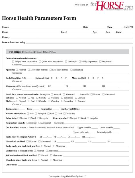 Horse Health Parameters Form – The Horse Exam Template, Horse Vet, Equine Nutrition, Horse Information, Horse Magazine, Horse Info, Vet School, Horse Riding Tips, Horse Camp