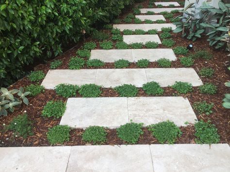 Travertine steppers and dichondra with spaces to fill Travertine Stepping Stones, Stepping Stone Border, Travertine Stepping Stone Path, Stone Patio With Grass In Between, Mondo Grass Between Pavers, Shaded Garden, Garden Inspo, Side Yard, Garden Stones