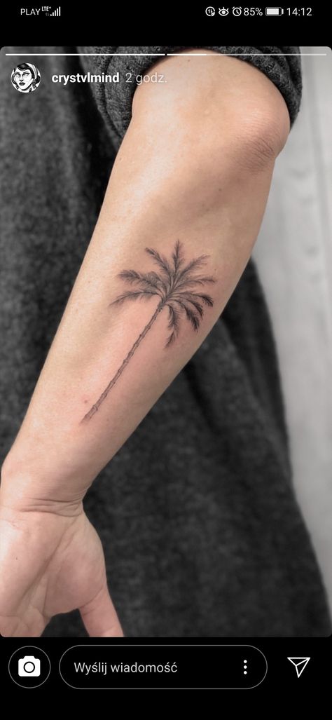 Small Palm Trees, Palm Tattoos, Palm Tree Tattoo, Tree Tattoo, Tattoo Placement, Small Tattoo, Tattoos And Piercings, New Tattoos, Maple Leaf Tattoo