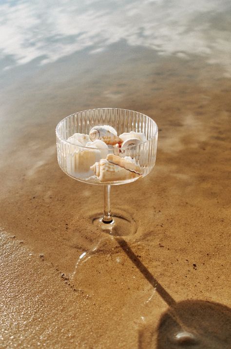 A wine glass sitting on top of a sandy beach photo – Free Water Image on Unsplash Shell On Beach, Pumpkin Images, Water Images, Fall Images, Beach Images, Beach Water, Beach Photo, On Beach, Beach Photoshoot