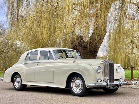 1960 Rolls Royce, Rolls Royce Wedding Car, Rolls Royce Wedding, Vintage Rolls Royce, Rolls Royce Silver Cloud, County House, Silver Cloud, Palm Beach Florida, My Dream Car