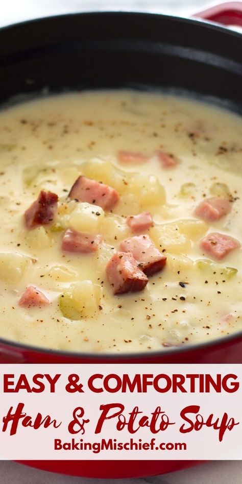 Ham Potato And Cabbage Soup, Soup Ham And Potato, Easy Potato Ham Soup, Ham And Potato Soup With Ham Bone, Quick Ham Recipes, Soups Easy Quick, Ham Bean And Potato Soup, Soups Made With Ham, Easy Low Calorie Soup