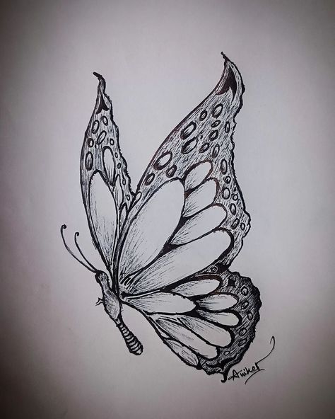 ~Every stroke tells a story...Every stroke of this pen is a work of art : Titli 🦋 Drawing takes time.A line has time in it....⏳ {BUTTERFLY} •Embracing transformation and color 💖 •Caught in a flutter of beauty and grace 🌸 •Wings made of petals and dreams 🌈✨ •Floating on air, as light as a feather 💨 •Nature's tiny, bejeweled ballet dancer 💎 •Chasing the daylight in technicolor 🌞🎨 . . . . #drawing #artist #illustration #digitalart #painting #artistsoninstagram #artoftheday #sketching #digitaldra... Butterfly Pen Drawing, Butterfly Line Drawing, Bleach Hoodie, Wings Drawing, Light As A Feather, Artist Illustration, Illusion Art, Ballet Dancer, Drawing Artist