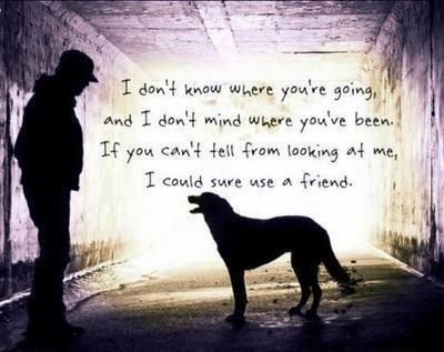 My dogs will always go with me for wherever I may roam Rescue Dogs Quotes, Rescue Quotes, Dogs Quotes, Dog Quotes Love, Dog Quote, 20th Quote, Dog Rules, Search And Rescue, Dogs Of The World