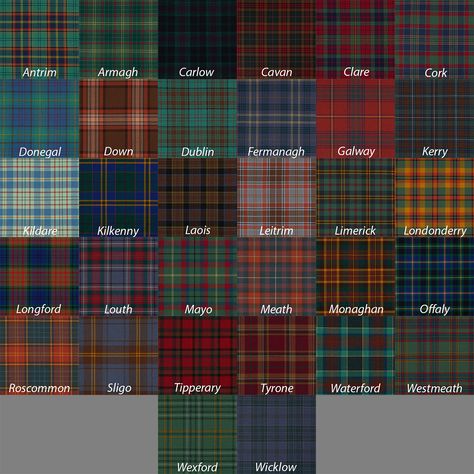 Irish Kilt, Irish Tartan, Kilt Belt, Tartan Clothing, Tartan Tie, Better Lifestyle, Tartan Kilt, Men In Kilts, Scottish Clans