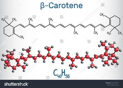 Beta Carotene, provitamin A, is an organic red-orange pigment in plants and fruits. Structural chemical formula and molecule model. Vector illustrationorange#red#plants#pigment Molecule Model, Red Plants, Chemical Formula, Beta Carotene, Abstract 3d, New Pictures, Royalty Free Photos, Create Yourself, Stock Vector