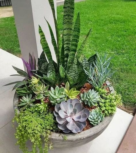 Succulent Garden Design, نباتات منزلية, Succulent Garden Diy, Garden Decor Projects, Elegant Candles, Entertaining Friends, Succulents Decor, Succulent Gardening, Have Inspiration