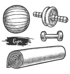 Gym Sketch, Sport And Health, Gym Vector, Abs Roller, Ab Roller, Training Exercises, Sketch Ideas, Ab Wheel, School Project