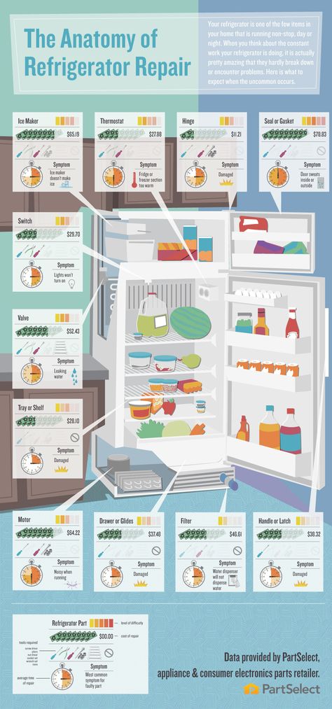 The Stylish Nest: The Anatomy of Refrigerator Repair Infographic Refrigerator Repair, Best Refrigerator, Diy Home Repair, Appliance Repair, Diy Life Hacks, Home Repairs, Diy Life, Home Ownership, Repair And Maintenance