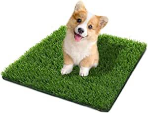 Training or for stubborn dachshunds! Artificial Grass For Dogs, Artificial Grass Rug, Pet Grass, Artificial Grass Carpet, Puppy Pads Training, Grass Rug, Dog Potty Training, Dog Potty, Dog Pee