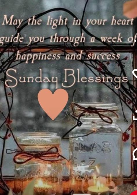 Sunday Morning Images Beautiful, Happy Sunday Images Beautiful, Beautiful Day Quotes, Afternoon Greetings, God Prayers, Weekly Quotes, Good Morning Animals, Happy Sunday Images, Good Morning Winter