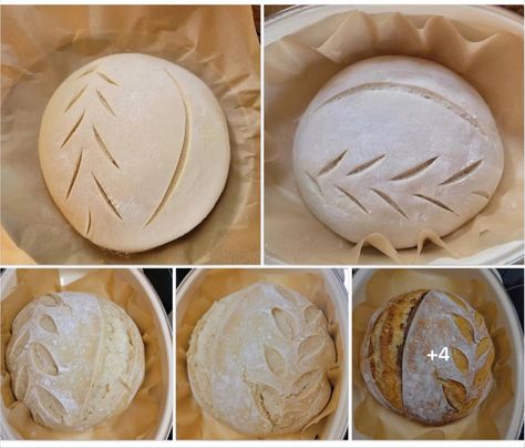 Scoring Sourdough Bread Designs Easy, Sour Dough Scoring Designs Simple, Easy Sourdough Scoring Patterns, Scoring Patterns Sourdough, Round Sourdough Scoring, Easy Sourdough Scoring, Simple Sourdough Scoring, Scoring Bread Patterns, Sourdough Boule Scoring